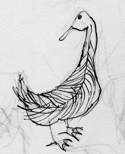 Bird, c1950 by Shirley Markham