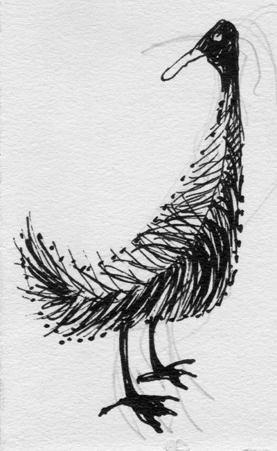 Bird by Shirley Markham