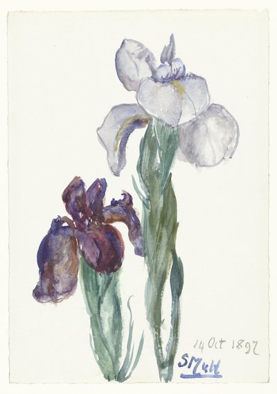 Irises by Sientje Mesdag van Houten