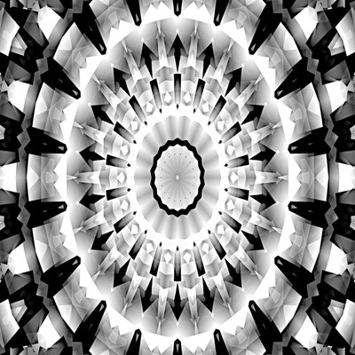 Black and White Symphony by Silvia Martini