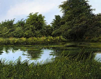 The Garden Pond by Silvian Sternhagel