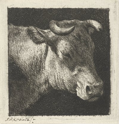 Cow