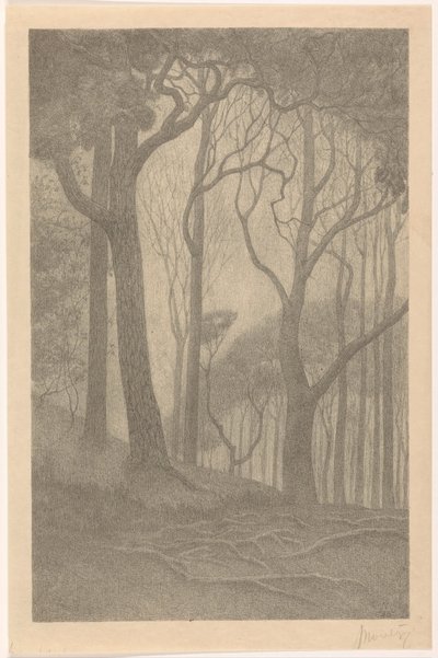 Trees by Simon Moulijn (signed by artist)