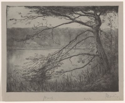 Pond near Oisterwijk by Simon Moulijn (signed by artist)