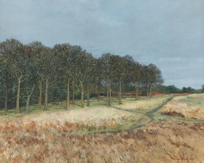 Woodland, Richmond Park by Simon Neville