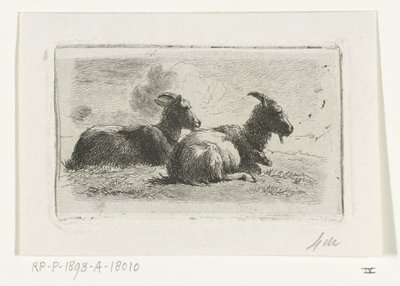 Two Lying Goats by Simon van den Berg