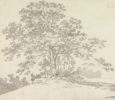 Tree by Sir George Howland Beaumont seventh Baronet