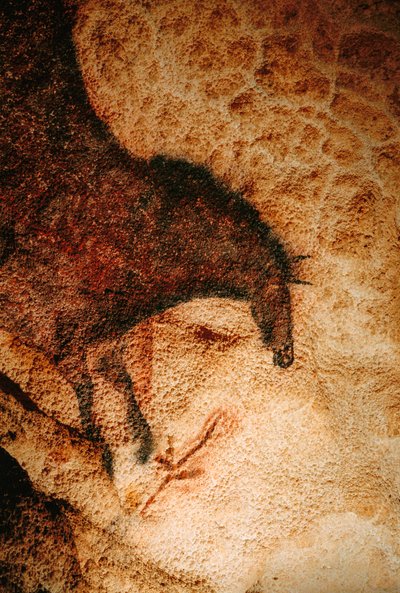 Galloping Horse in Lascaux Cave, France by Sisse Brimberg