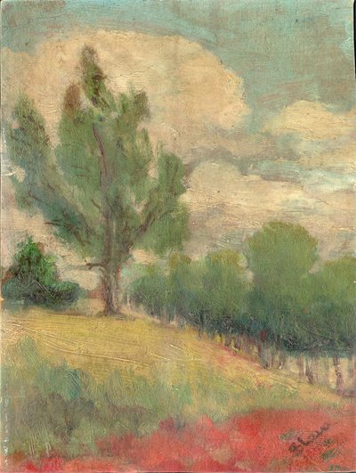 Slope with a Large Tree by Slava Raškaj