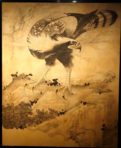 Hawk by Soga Shohaku