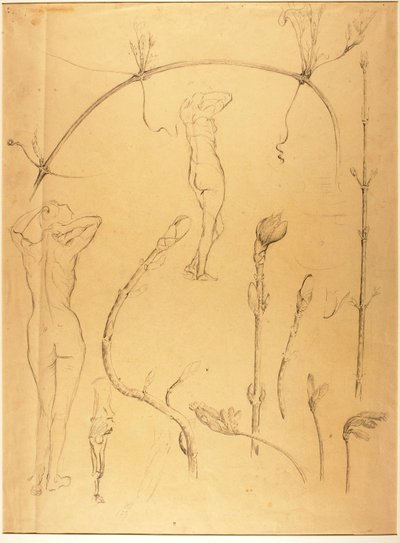 Branch and Nude Study by Solon H. Borglum