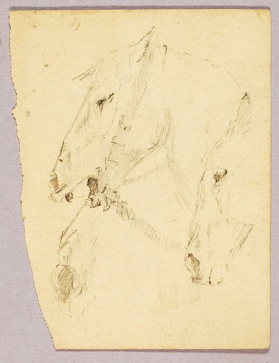 Horses
