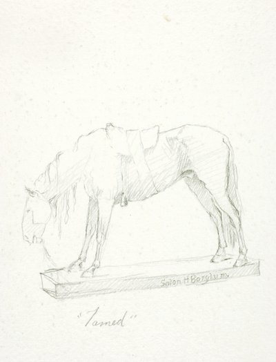 Tamed by Solon H. Borglum
