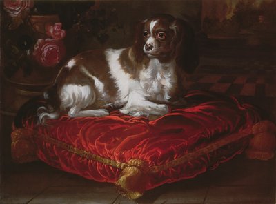 Spaniel on a Cushion by Spanish School