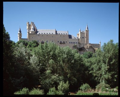 View of the alcazar by Spanish School