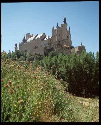 View of the Alcazar by Spanish School