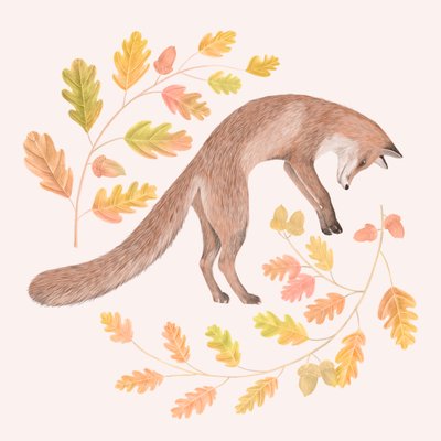 Jumping Fox by Stacy Hsu