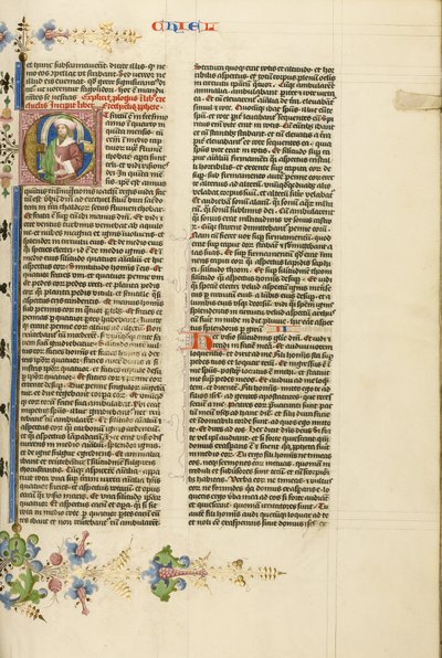 Initial E: A Prophet by Stefan Lochner