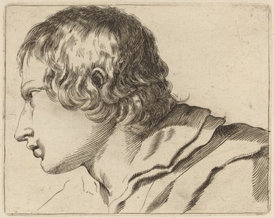 Head of a Man Turned Left by Stefano della Bella