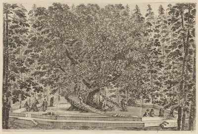 The Inhabited Tree by Stefano della Bella