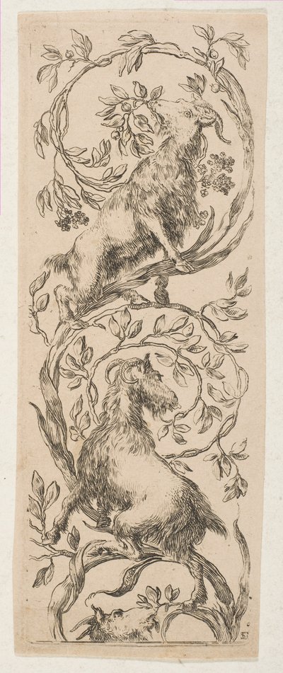 Two Goats Nibbling Branches by Stefano della Bella