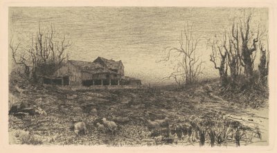 November by Stephen Parrish