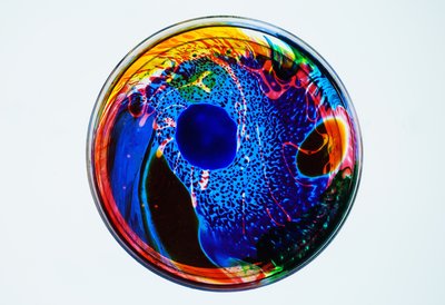 Koan by Steve Pavlovsky