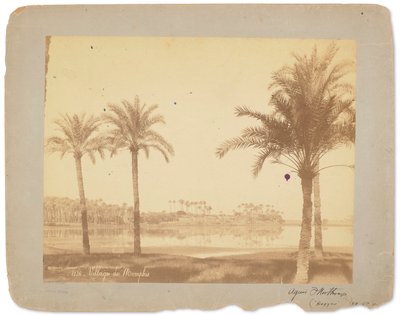 Village of Memphis, Egypt by Studios Tiffany