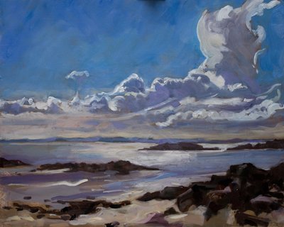 Late afternoon in Galloway by Sue Wales