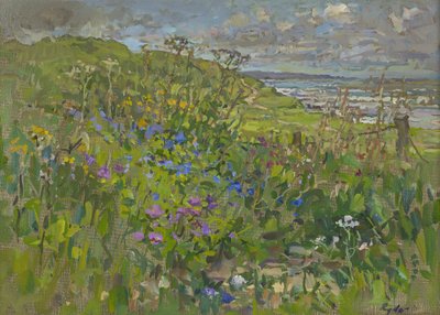 Headland Flowers near Berwick by Susan Ryder