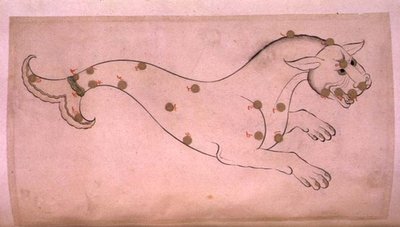 Constellations: Cetus, the Whale by Suvar Al Kavakib