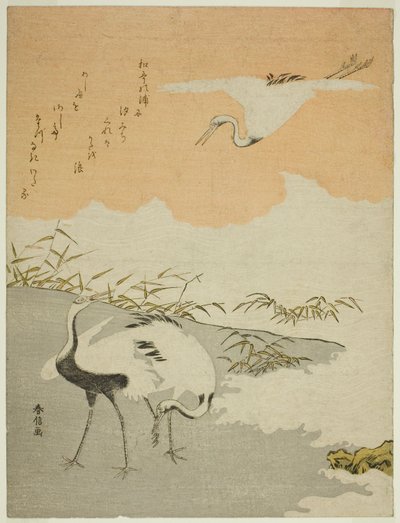 Cranes at the Sea Shore by Suzuki Harunobu