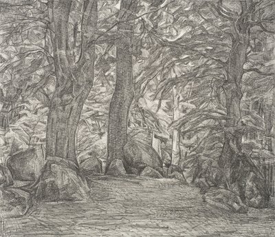 Forest Scene from Falster by Svend Hammershøi