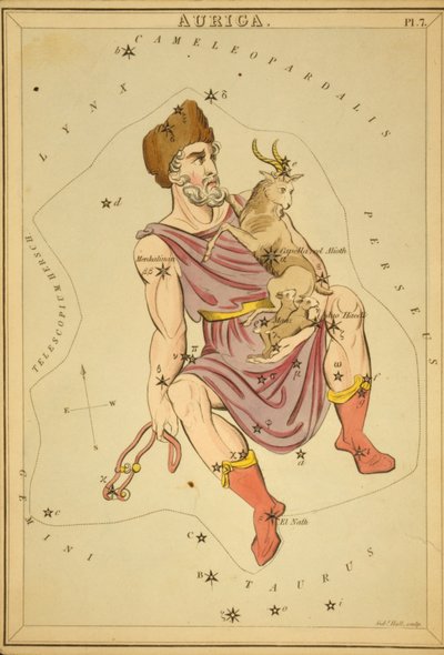 Auriga, Illustration from 