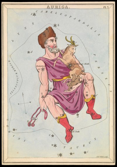 Auriga by Sydney Hall