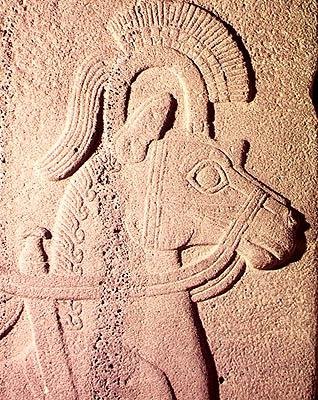 Detail (horse