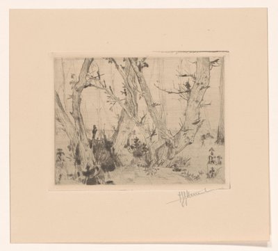 Forest View by T. Sterrenburg (signed by artist)