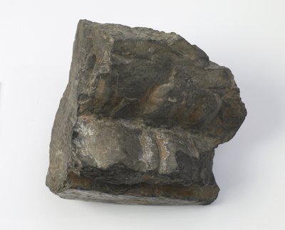 Fragment of a Lotus Pedestal by Tang Dynasty Chinese School