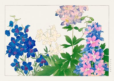 Delphinium Flower from "Seiyou Sokazufu" by Tanigami Konan