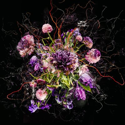 Bouquet IV, 2017 by Teis Albers