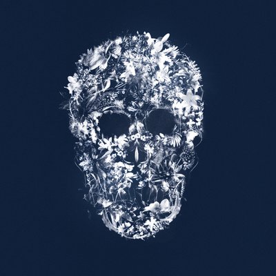 FloralSkull by Teis Albers