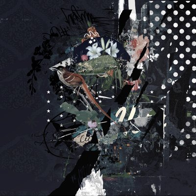 Floralbirds by Teis Albers