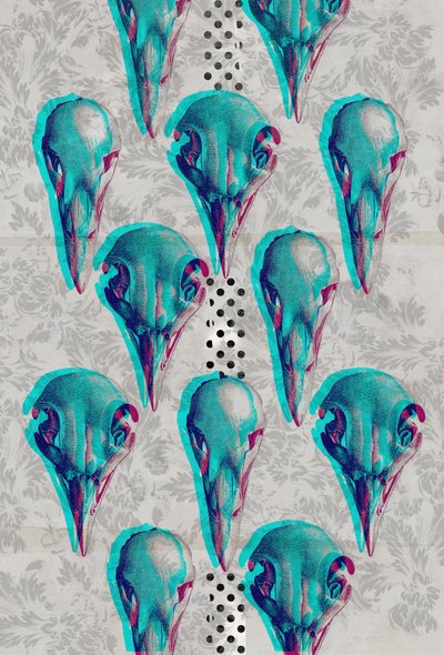 Series of Skulls by Teis Albers