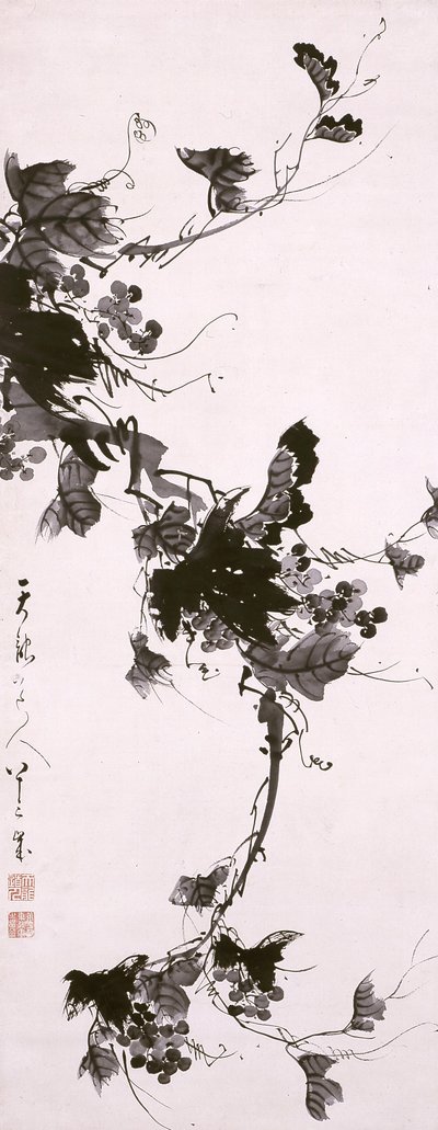 Grapevine by Tenry? D?jin