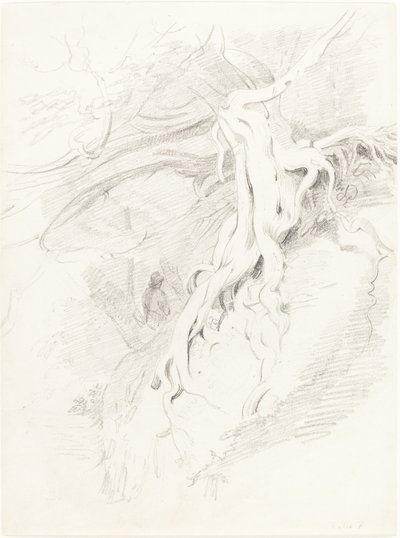 The Yew at Clifton by Thales Fielding