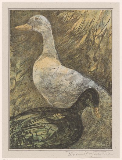 Two Standing Ducks by Theo van Hoytema (signed by artist)