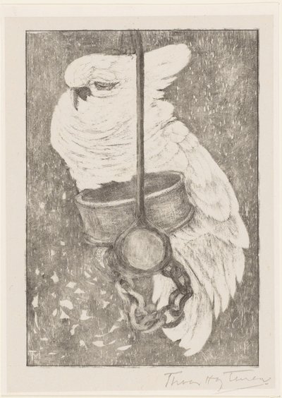 White Cockatoo by Theo van Hoytema (signed by artist)