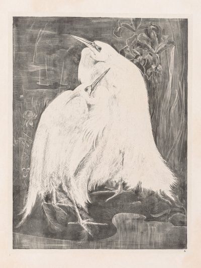 Animal Studies: Two Silver Herons by Theo van Hoytema