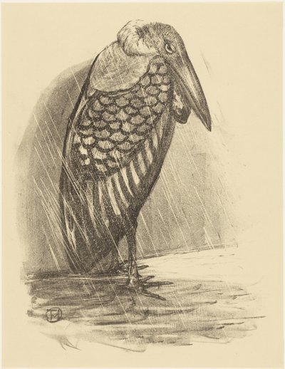 Marabou in the Rain by Theo van Hoytema