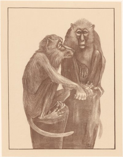 Two Monkeys on Tree Stumps (Animal Studies) by Theo van Hoytema